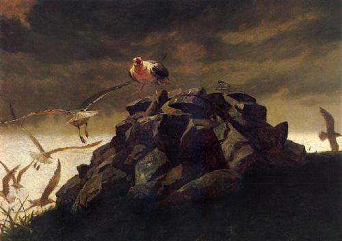 "The Rookery" -  Jamie Wyeth